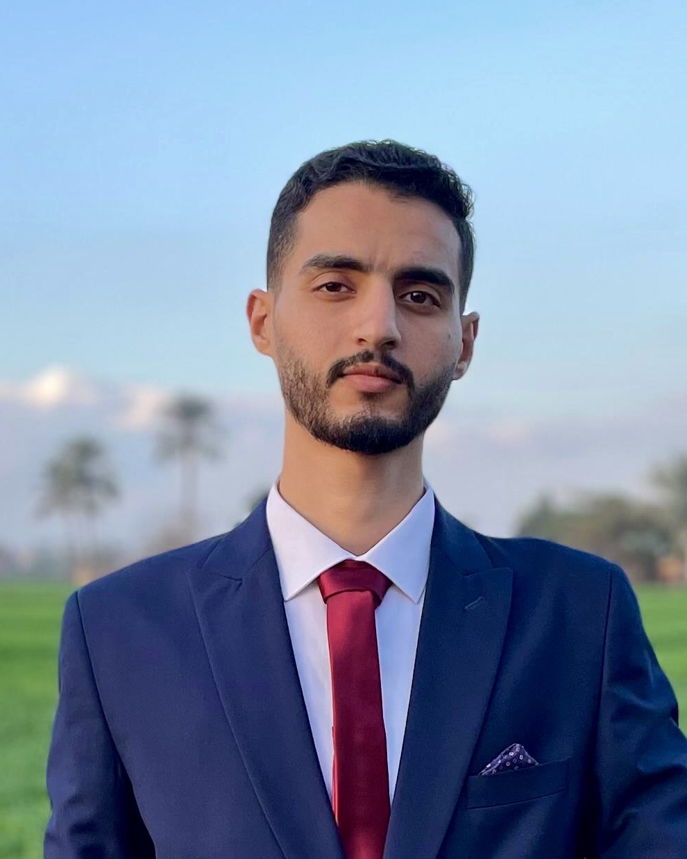 Ahmed Khalifa, Software Engineer